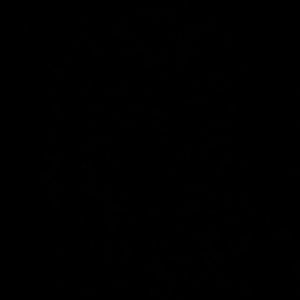 Meet your Posher, Nhi